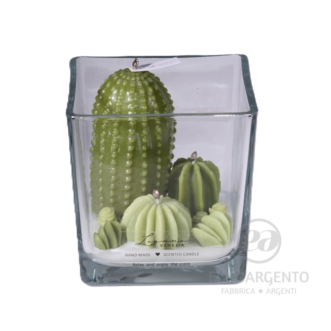 Candela Giardino Cactus