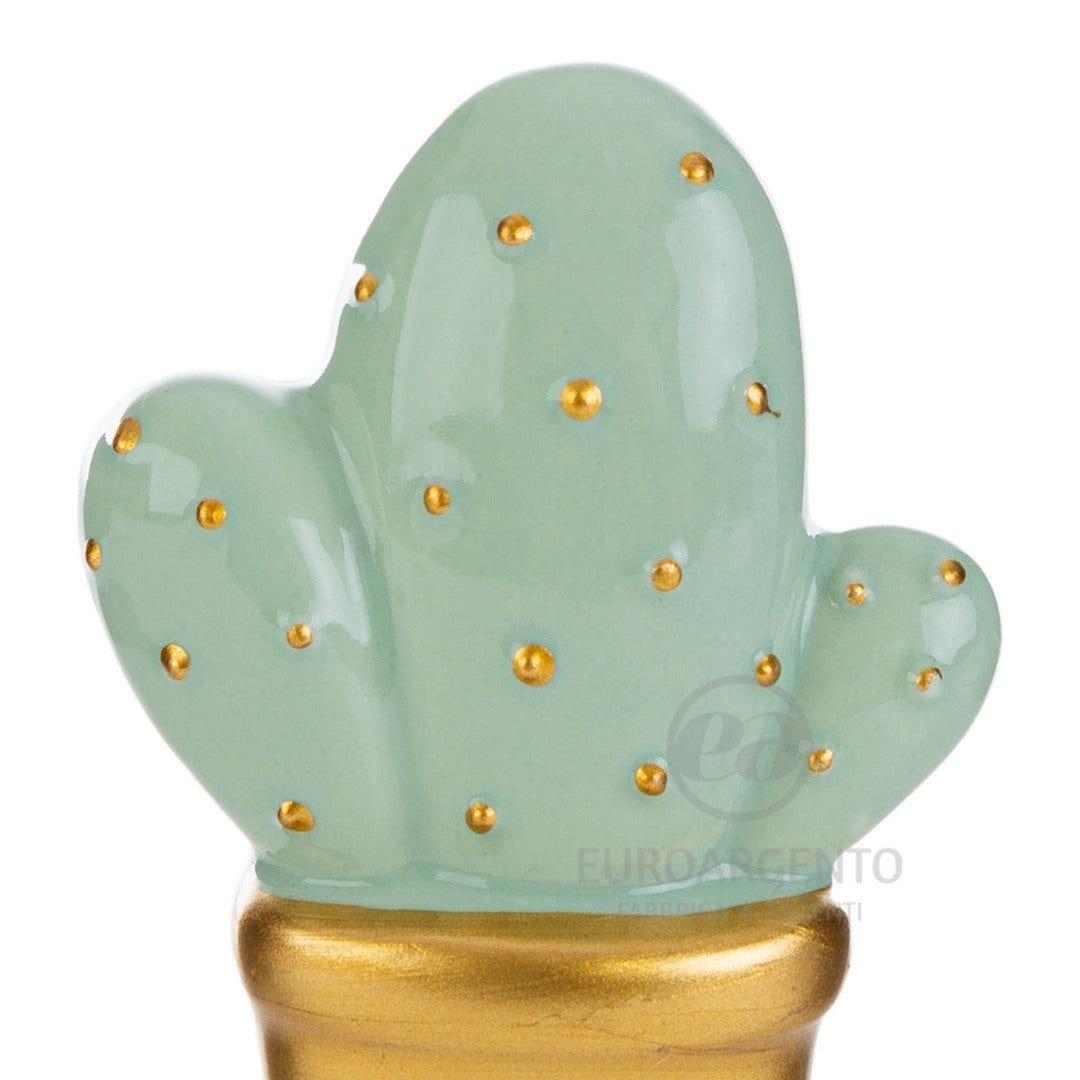 CACTUS Calamita