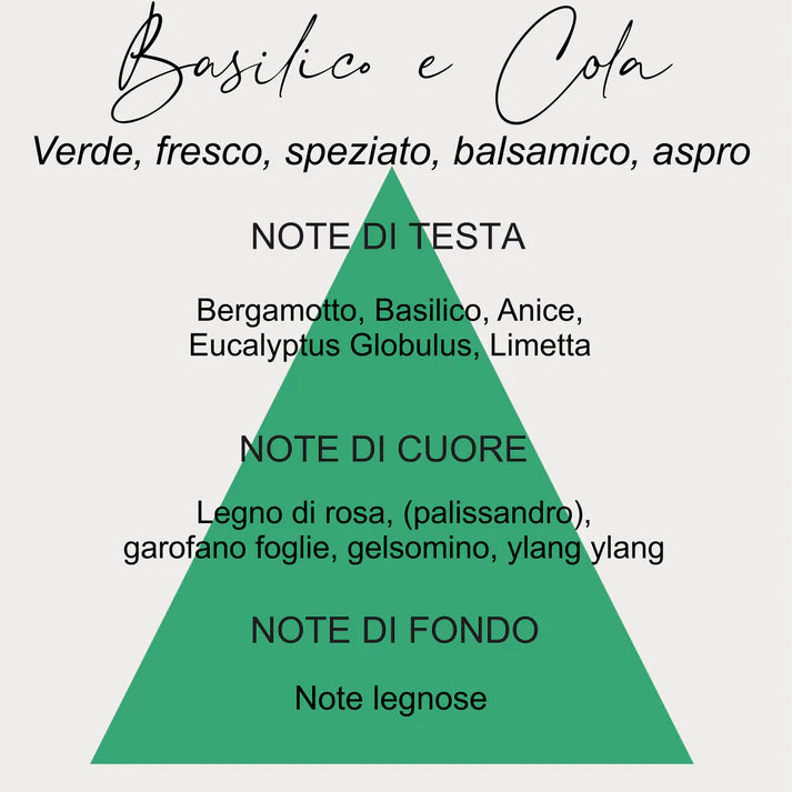 Candela Vasetto Pianta Grassa